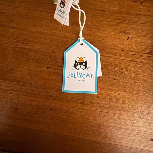 Retired Carys Caterpillar Jellycat - Picture 3 of 5